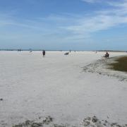 Siesta Key public beach