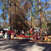 Les campeurs de Disney en ont plein la vue!