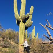 On aime les cactus de l'Arizona mais...