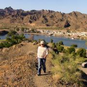 Buckskin Mountain State Park, Arizona