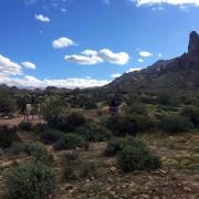 Les cowboys de Phoenix. Arizona