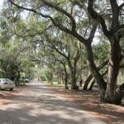 Oscar Scherer State Park