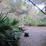 Oscar Scherer State Park