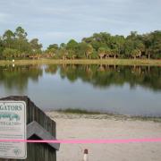 Oscar Scherer State Park