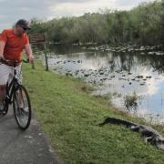 Shark Valley Everglades National Park