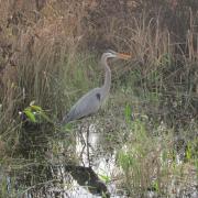 Shark Valley Everglades National Park