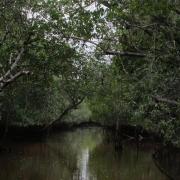 Everglades National Park