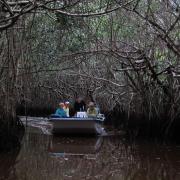 Everglades National Park