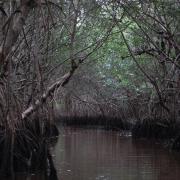 Everglades National Park