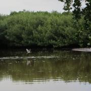 Everglades National Park