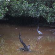 Everglades National Park