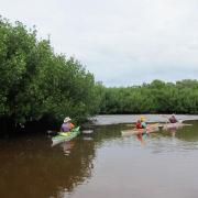 Everglades National Park