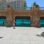 Atlantis: Glissade avec requins/Shark slide