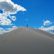 Bruneau Dunes