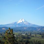 Mount hood