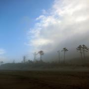 Cape Lookout State Park