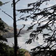 Cape Arago