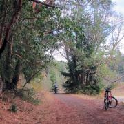 Joseph H. Stewart State Park