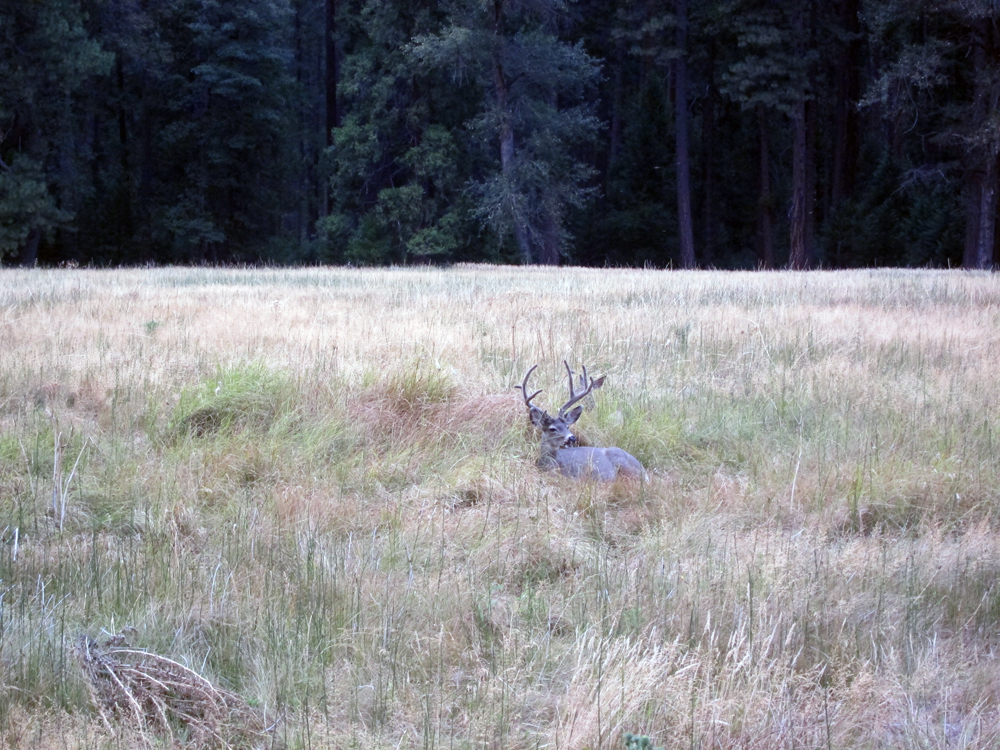 Yosemite Valley