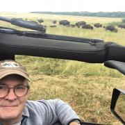 Bisons Riding Mountain national Park