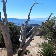 Sky Island Scenic Byway, Tucson Arizona