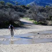 Catalina State Park