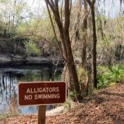 Stephen Foster State Park, White Springs Florida