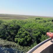 Shark Valley, Everglades National Park