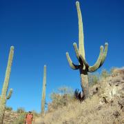 Cave Creek Regional Park