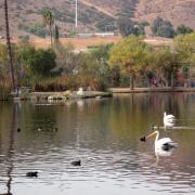 Santee Lakes Preserve