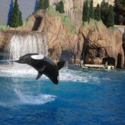 Sea World, San Diego