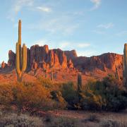 Lost Dutchman State Park