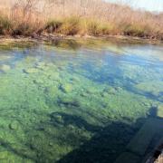 Garner State Park: Rio Frio