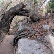 McKinney Falls State Park