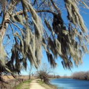 IBrazos Bend State Park, Texas