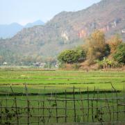 Mai Chau