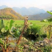 Mai Chau