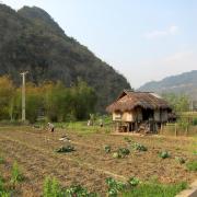 Mai Chau: Les champs/Working the fields