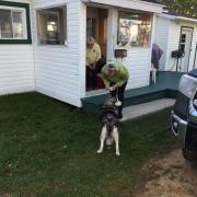 Le chien à Jocelyne 