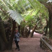 Great Ocean Road: Otway National Park