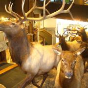 Jackson Visitor Center