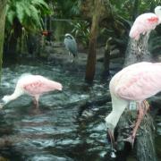 Florida Aquarium