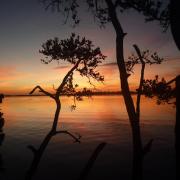 Fort de Soto site 206