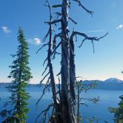 Crater Lake National Park