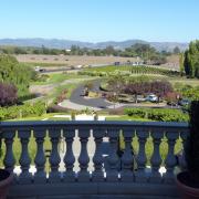 Carneros Winery