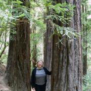 Muir Woods