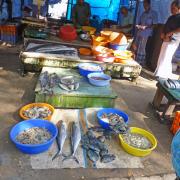 Marché de poissons/Fish Market