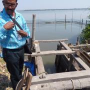 Culture de crevettes/Shrimp Farm