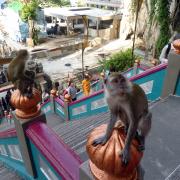 Batu Caves