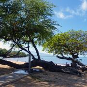 Anaeho'omalu Beach, Big Island Hawaii